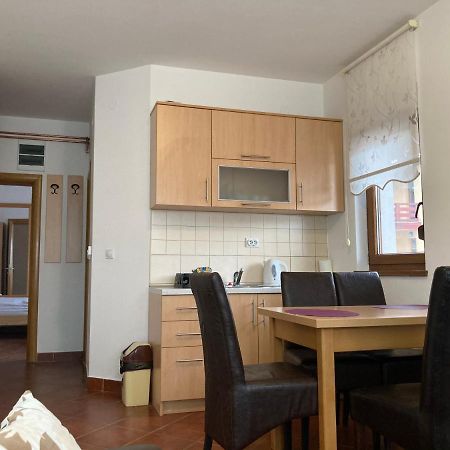 Vila Nina Kopaonik Apartment Екстериор снимка