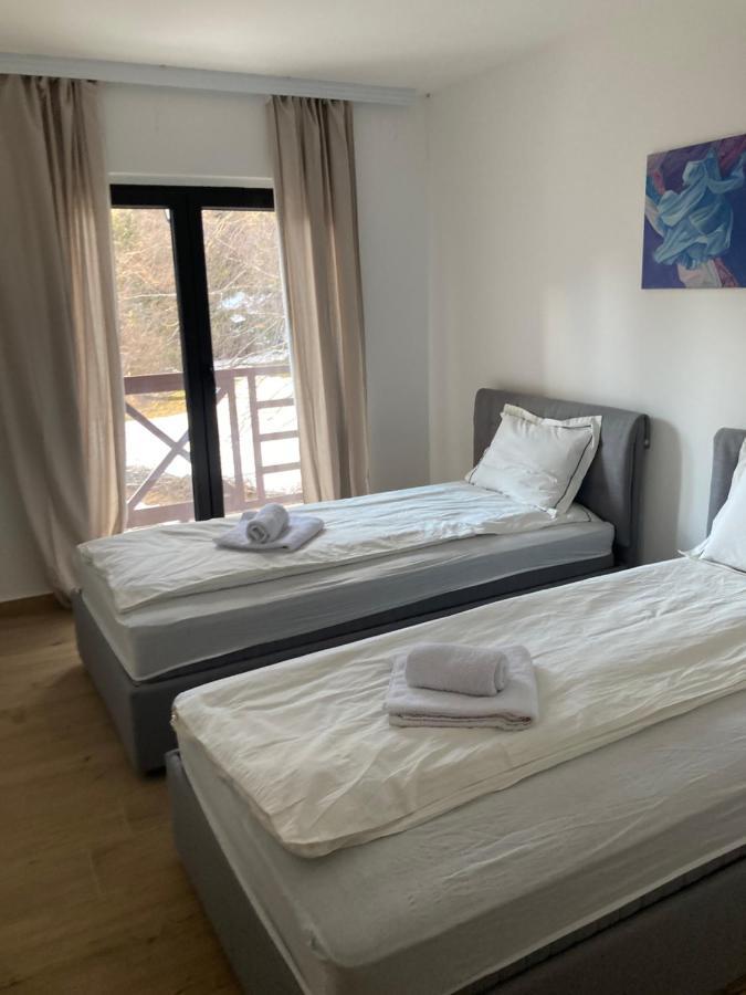 Vila Nina Kopaonik Apartment Екстериор снимка