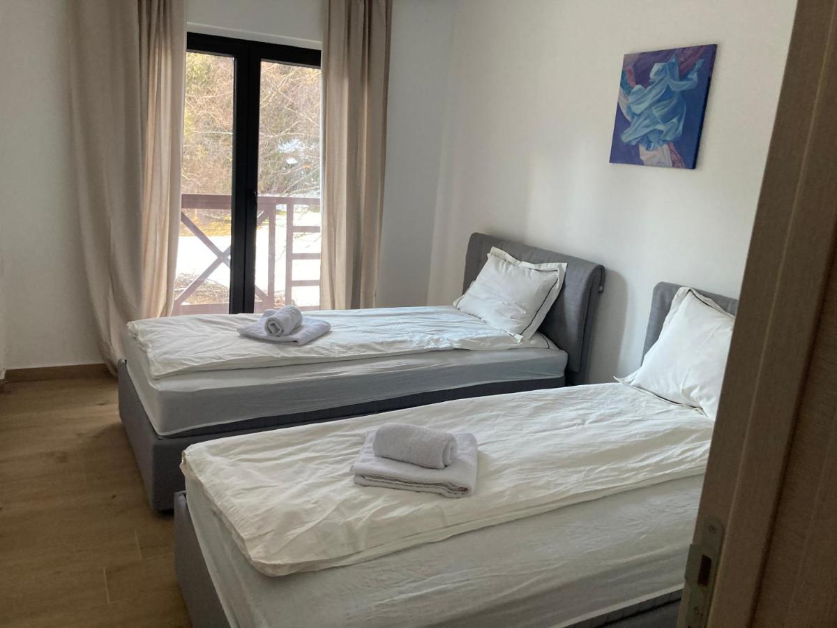 Vila Nina Kopaonik Apartment Екстериор снимка