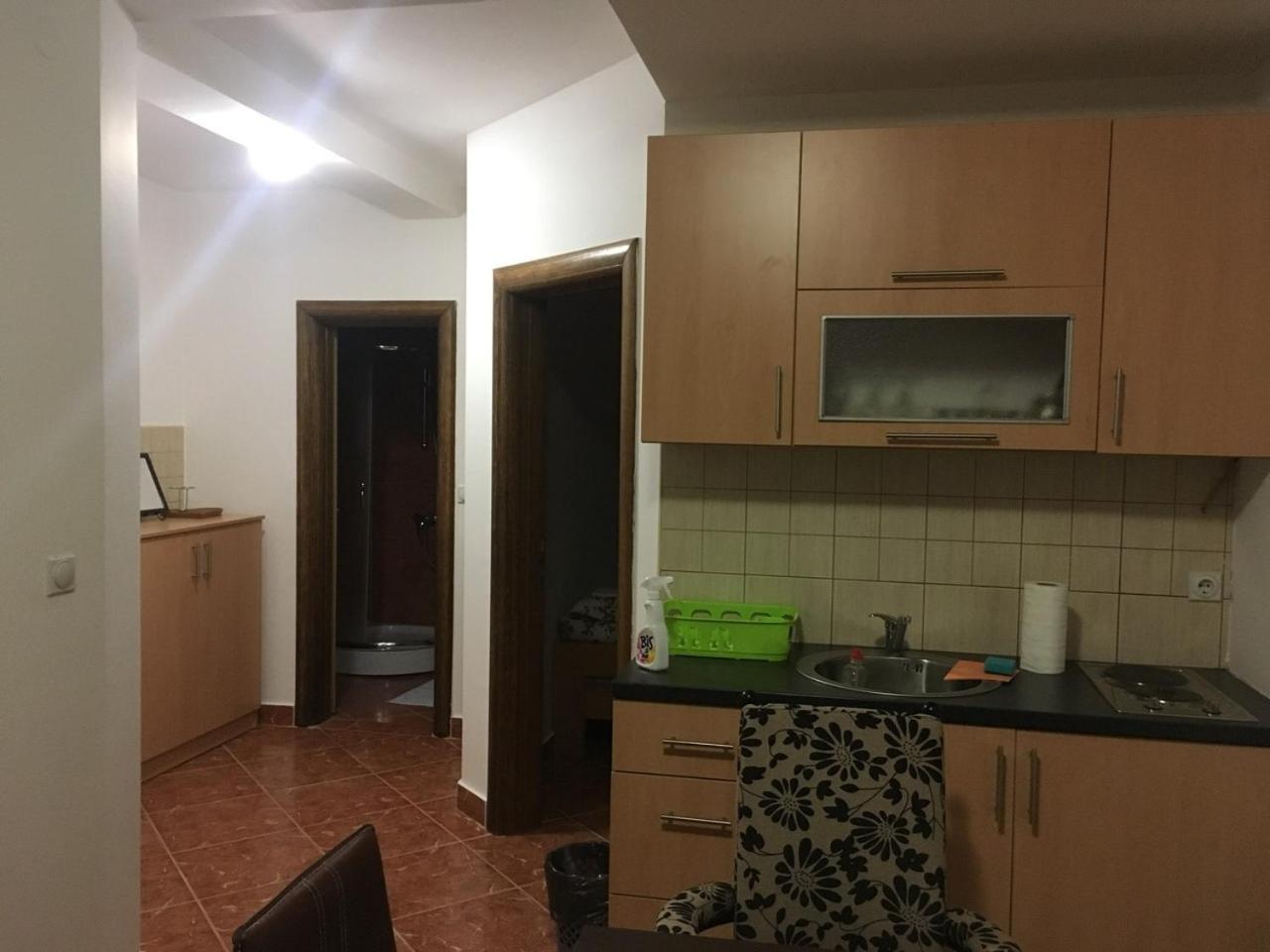 Vila Nina Kopaonik Apartment Екстериор снимка