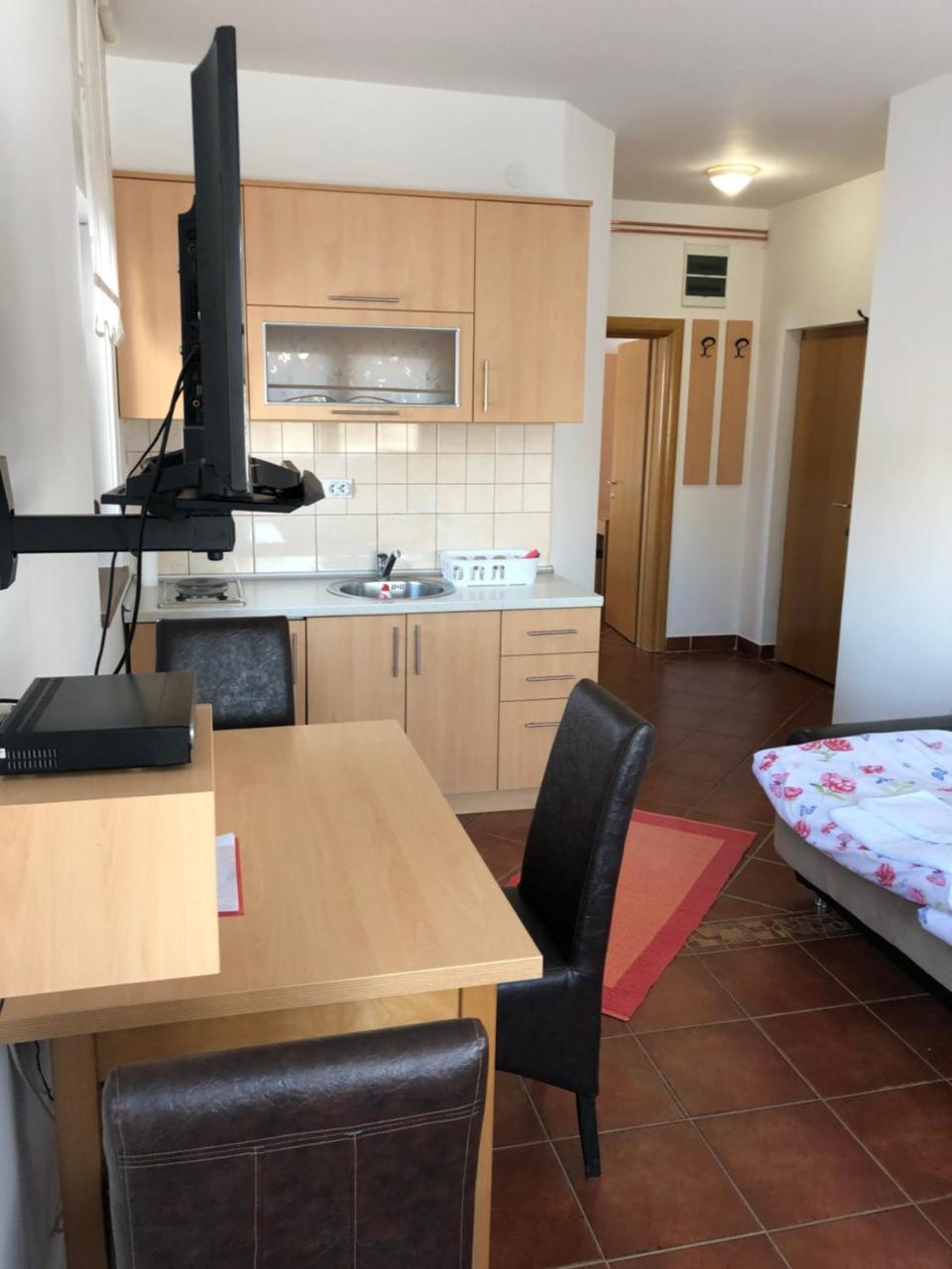 Vila Nina Kopaonik Apartment Екстериор снимка